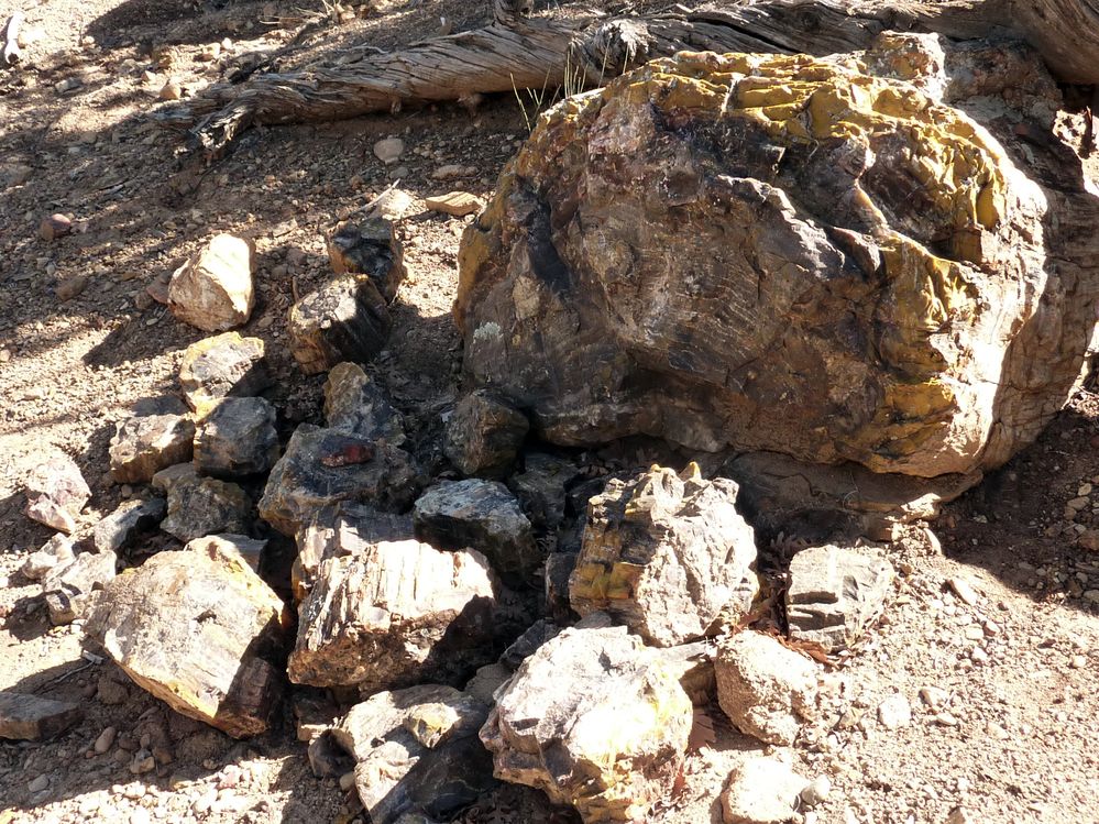 Escalante state park (9).JPG